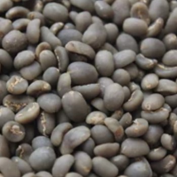 Coffee green beans mandheling grade 1